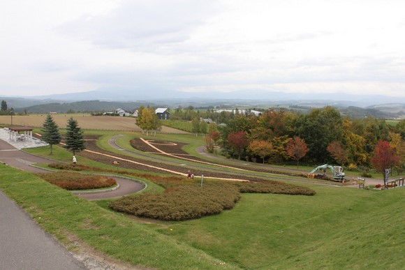 北海道夏天自駕遊Day 7行程_美瑛北西之丘展望公園3