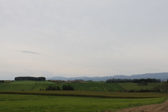 北海道夏天自駕遊Day 7行程_美瑛全景之路1