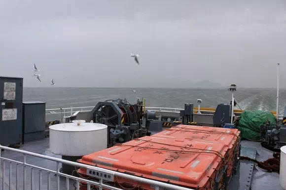 熊本渡輪海鷗